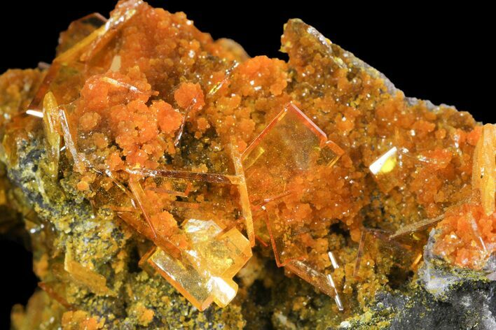 Windowpane Wulfenite and Mimetite Association - Mexico #163147